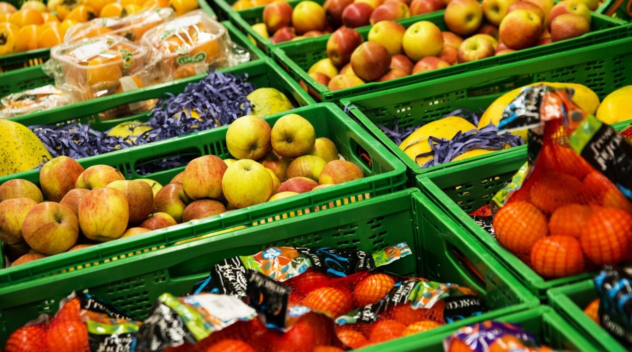 Supermärkte verramschen Bio-Obst – ZASTER