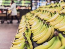 Lidl verkauft nur noch Fairtrade-Bananen – und sorgt für Branchen-Zoff