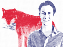 „Aktien sind das Nonplusultra!“