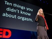 Zehn brillante TED-Talks über die Finanzwelt
