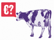 Milka bezahlt dich für’s Schokolade essen