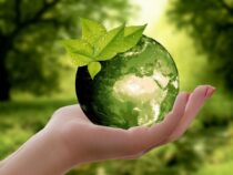 Wie grün sind Öko-Aktien wirklich?