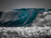 Die mysteriöse Q-Welle überrollt Europa