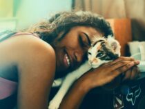 Wie viel einer Sozialarbeiterin ihre Katzen wert sind