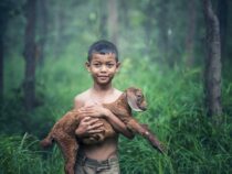 Sind Öko-ETFs wirklich so grün?