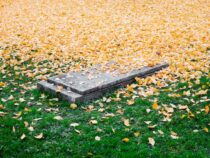 So organisierst du deine Beerdigung