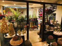 Ein besinnlicher Glücksmoment inmitten der hektischen Vorweihnachtszeit