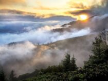 Mit diesen Aktien rettest du die Welt