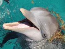 Wie ich durch Second-Hand-Verkäufe den Mexiko-Urlaub finanzierte