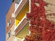 Dieser einfache Rechner sagt dir, wie viel Wohngeld du bekommst