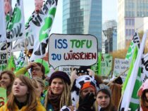 Fleischersatz ist schlechter als sein Ruf, Gemütlich fliegen im „Sleeper-Seat“, Deutsche Bank: Kontogebühren sind unwirksam