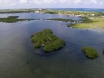 Irre: Diese 5 Inseln kosten unter 100.000 Euro