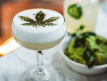 Cannabis-Branche auf All-Time-High