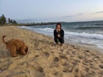 Auswandern: Was kostet das Leben in Australien?