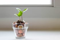 Wird der Aktienmarkt ewig wachsen?