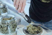 Legalisierung von Cannabis, Onlinebank N26 gibt US-Geschäft auf, Sozialversicherungsbeiträge steigen drastisch