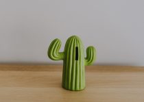 So baust du ein Vermögen auf