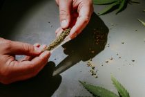 Dax schwächelt, THC-Grenzwert im Straßenverkehr, Weltweite Ernährungsarmut unter Kindern