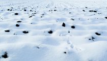Winterwetter in Deutschland, Bitcoin nahe 100.000 US-Dollar, Weniger Wirtschaftswachstum