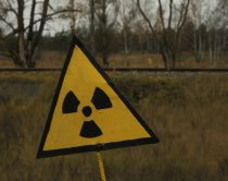 Mieten in 2024 kräftig gestiegen, Deutsche Wirtschaft schrumpft leicht, Atombunker-Boom