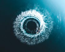 Februar 2025: Ein wilder Ritt zwischen Zöllen, Inflationssorgen und Tech-Wirbel