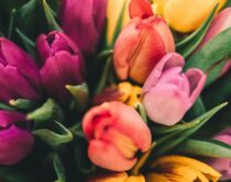 Frühlingshafte Temperaturen, Nvidia-Gewinn verdoppelt, Deutscher Mittelstand unter Druck